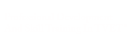 Professional Development And Skill Training In TVET